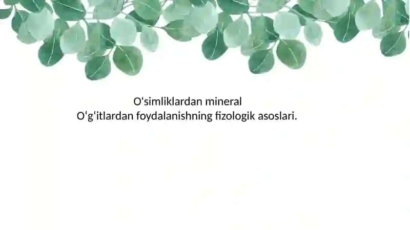 O'Simliklardan Mineral O'g'itlardan Foydalanishning Fizologikasoslari 2