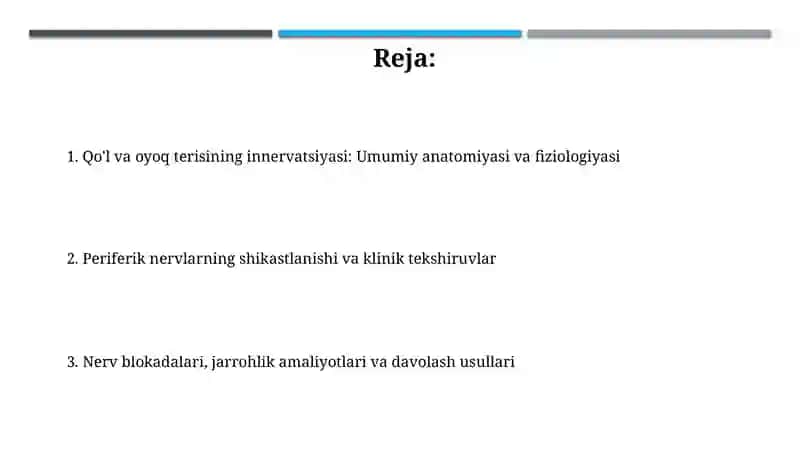 Qo'l va oyoq terisining innervatsiyasi 2