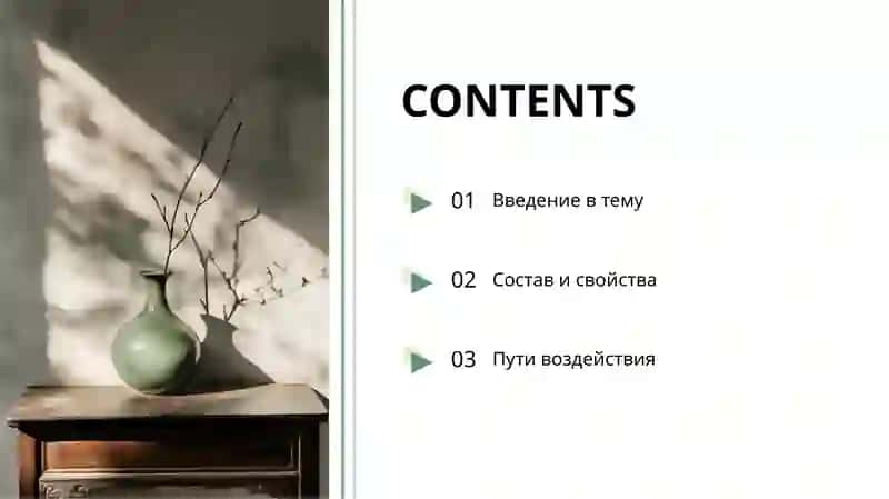 Пыль, биоактивные вещества и здоровье 2