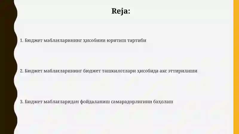 Бюджет маблағларининг ҳисобини юритиш тартиби 2