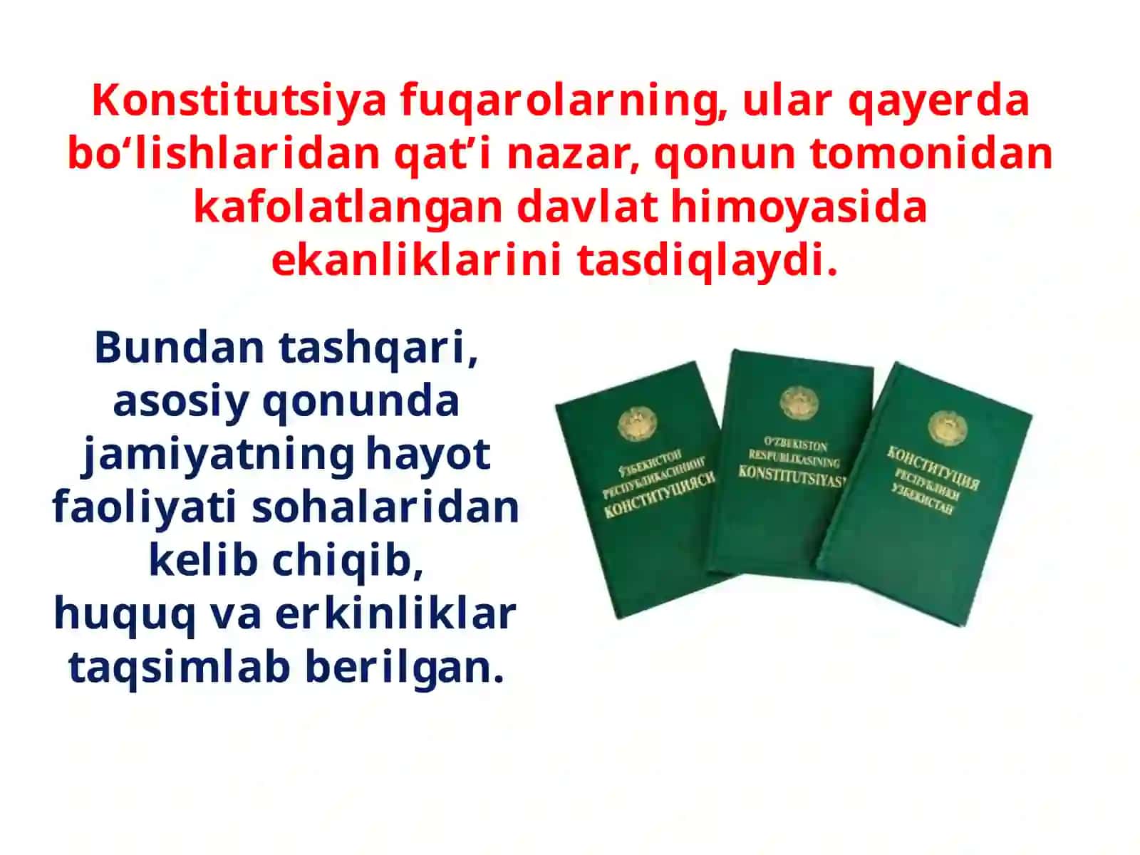 10-sinf Huquq fanidan Insonparvarlik prinsipi dars taqdimoti 2
