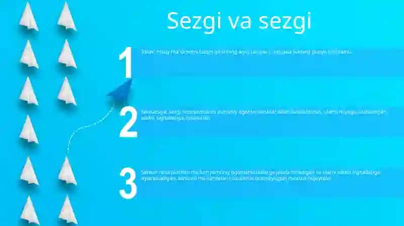 Sezgilarning Nerv-Fiziologik Asoslari 2
