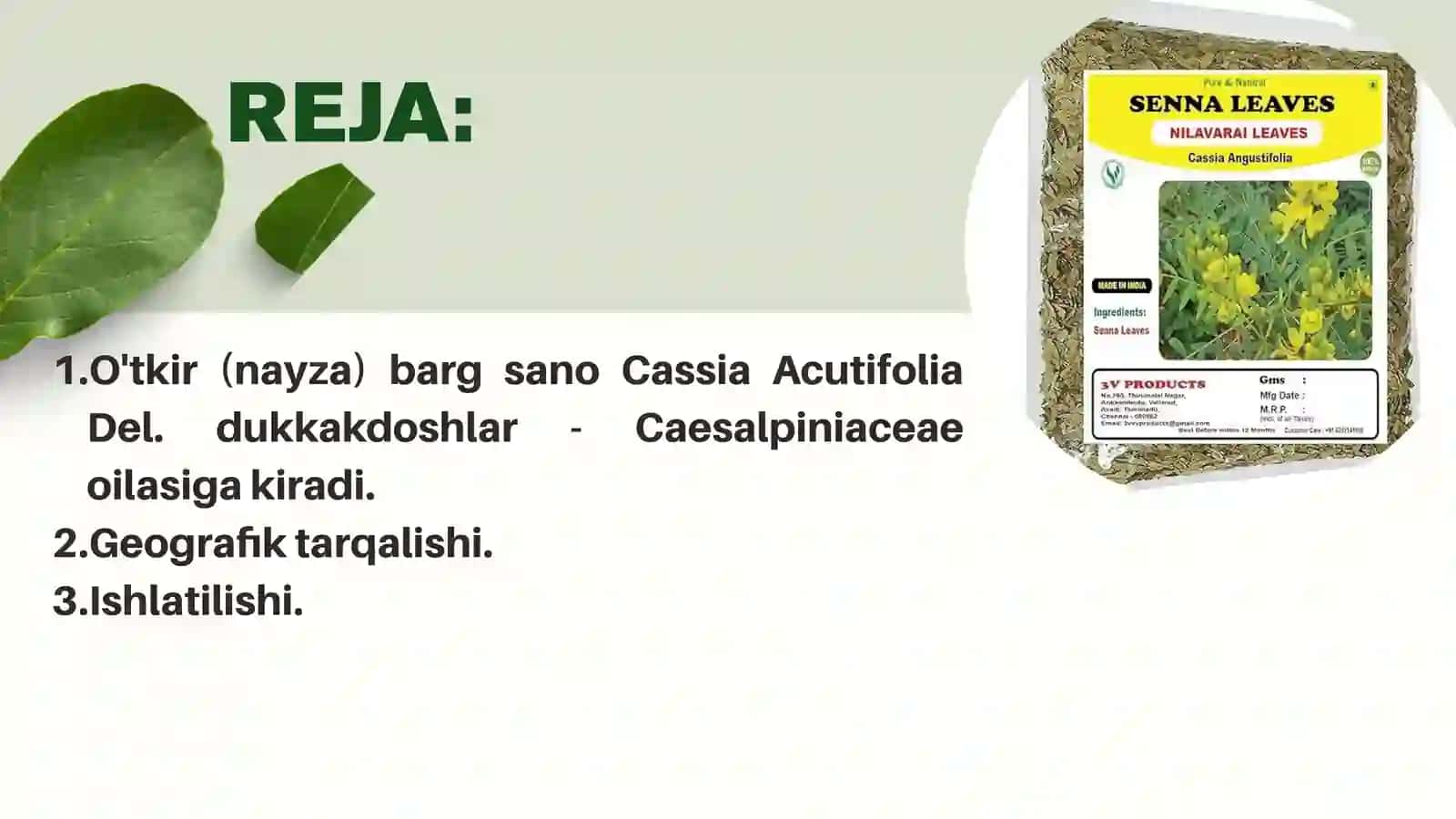 O’TKIR(NAYZA)BARGLI SANO-CASSIA ACUTIFOLIA DEL 2