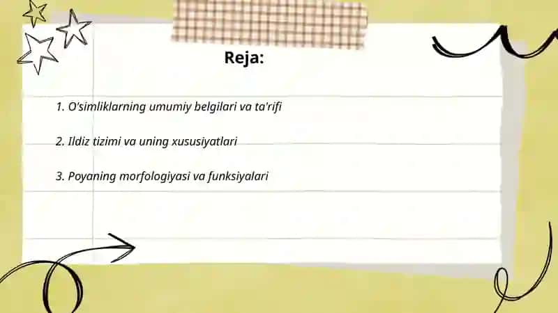 Õsimliklarning belgi va xususiyatlari 2