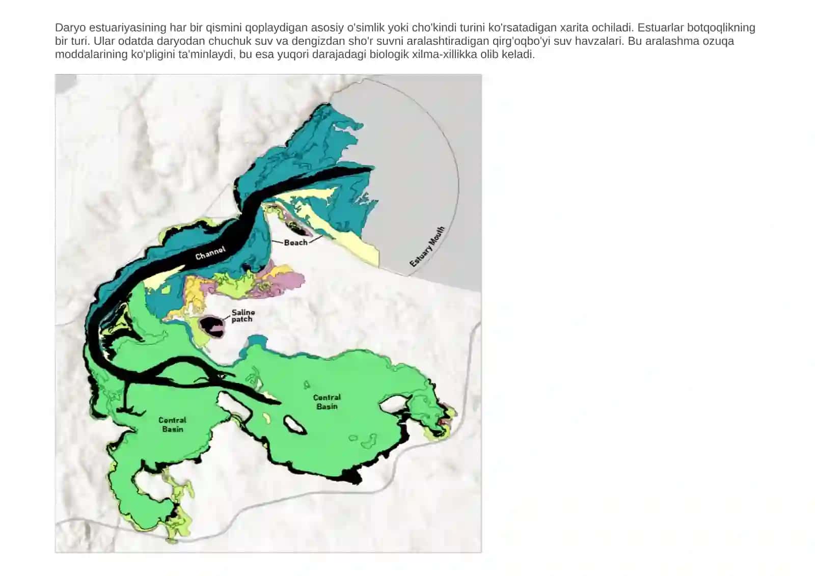 Dengiz estuariya xaritasi 2