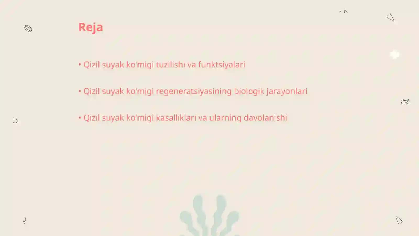 Qizil suyak ko'migi va uning regenratsiyasi 2