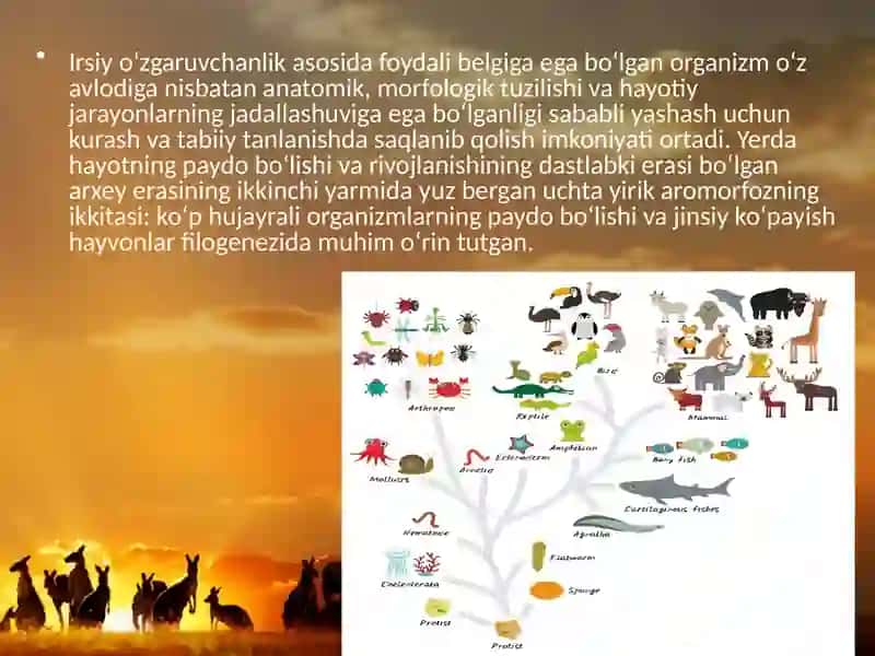 Hayvonotdunyosidagi evolutsiono‘zgarishlar 2
