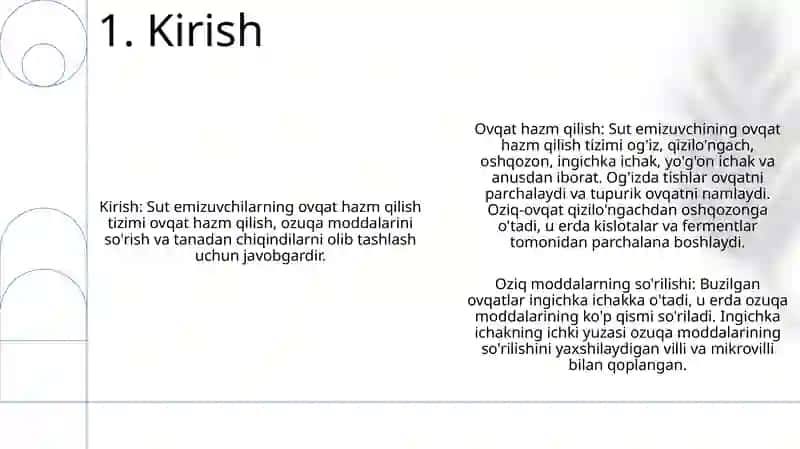 Sutemizuvchilarning Hazm Qilish Sistemasi 2