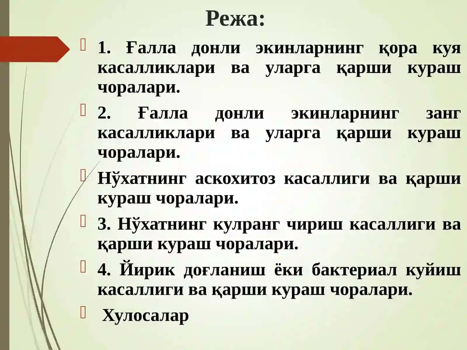 Омборларда дон дуккакли экинларни маҳсулотларини сақлаш давридаги касалликлар биологияси ва қарши кураш чоралари 2