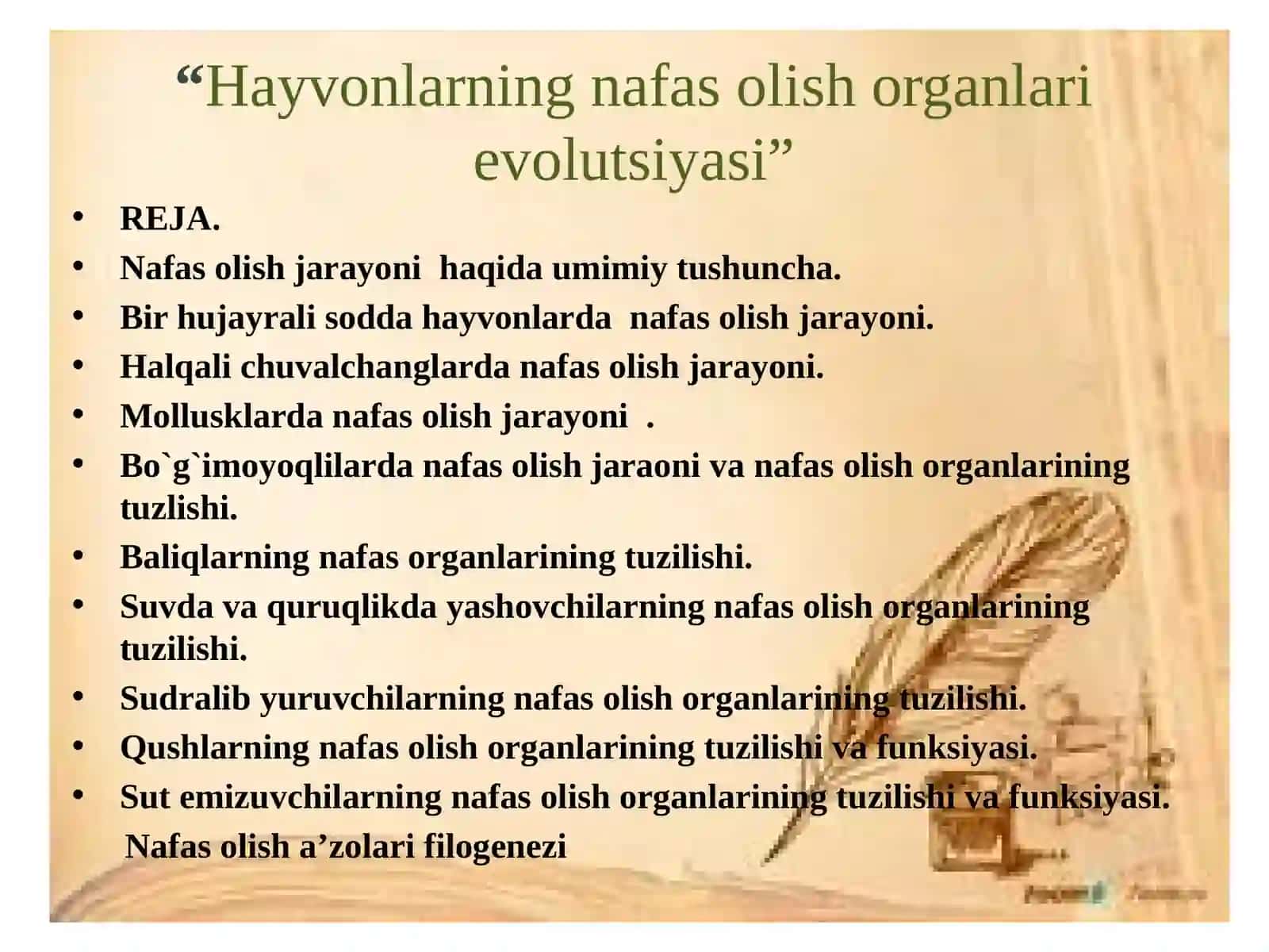 Hayvonlarning nafas olish organlari evolutsiyasi 2