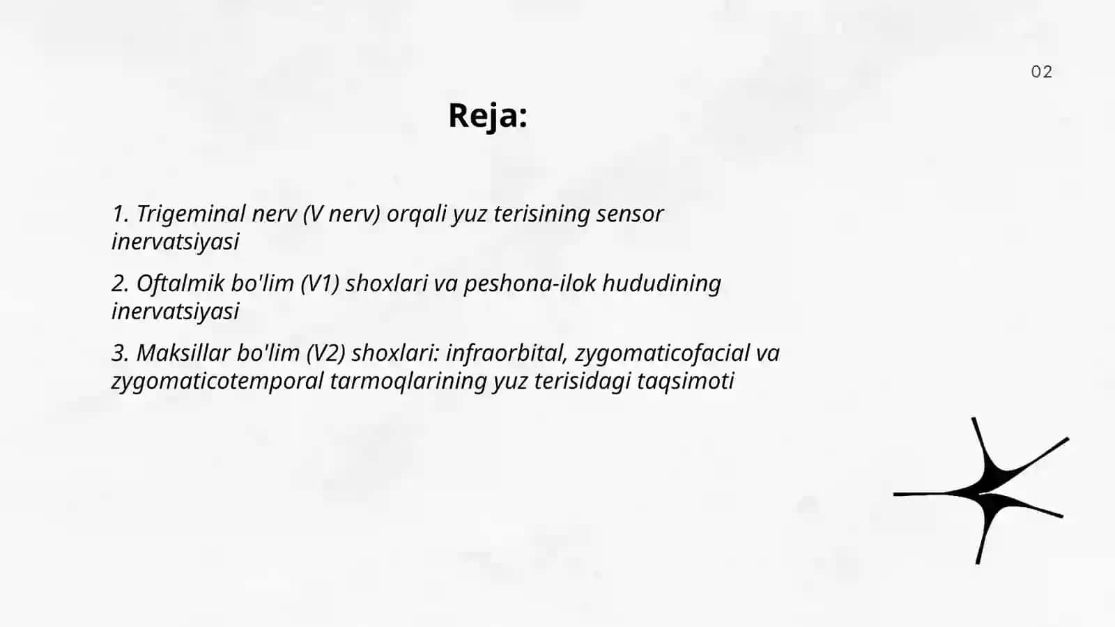 Yuz terisinning inervatsiyasi 2