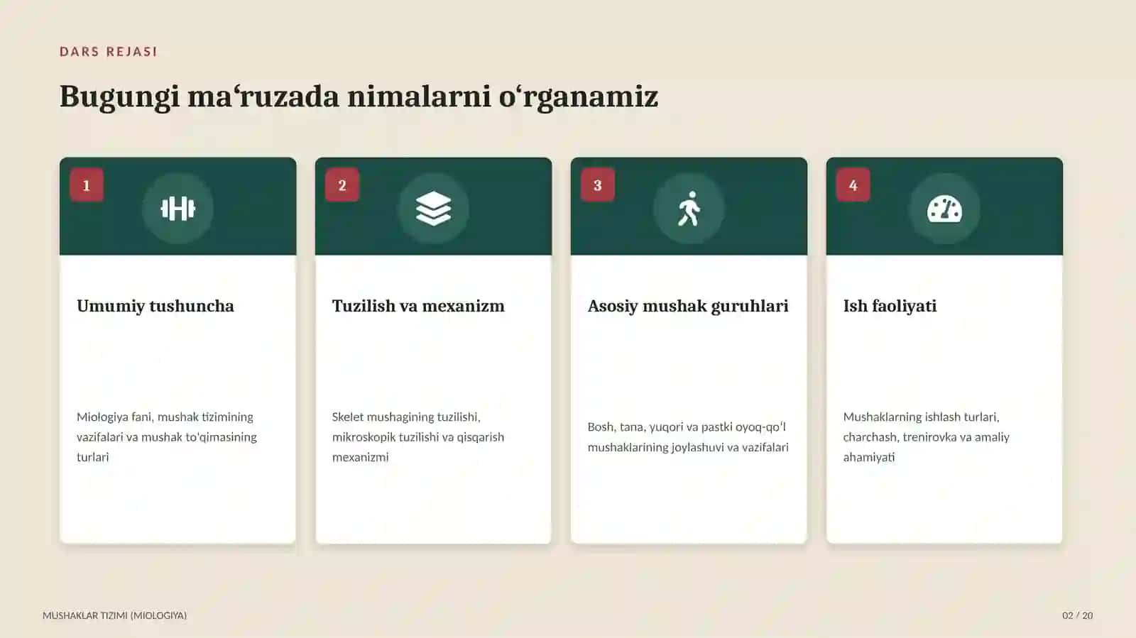 Mushaklar tizimi (Miologiya) 2
