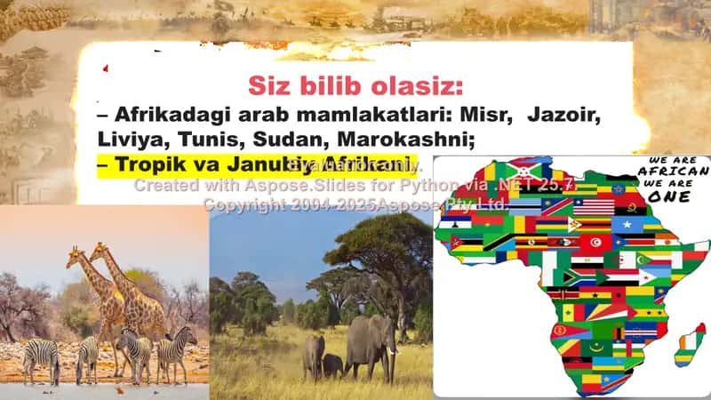 Afrika: Mustamlikachilikning Boshlanishi 2