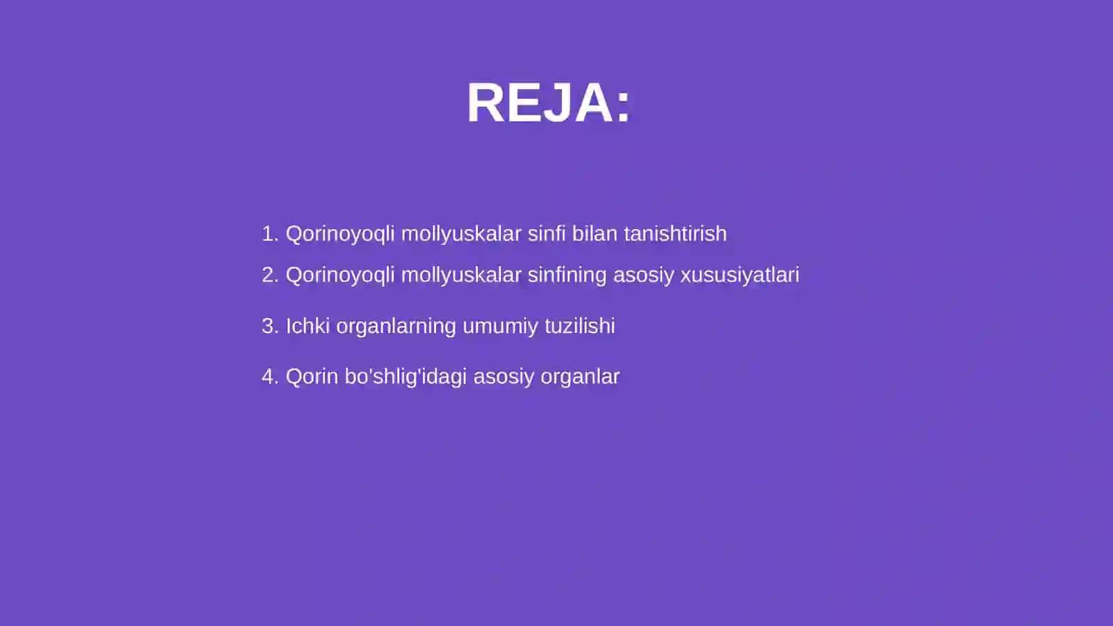 Qorinoyoqli mollyuskalar sinfi 2