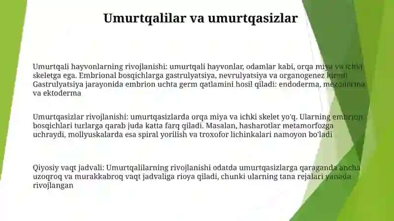 Umurtqali Va Umurtqasiz Hayvonlarning Rivojlanishi 2