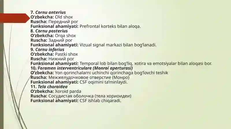 GLOSSARIY yonqorincha anatomiyasi va funksional ahamiyati 2