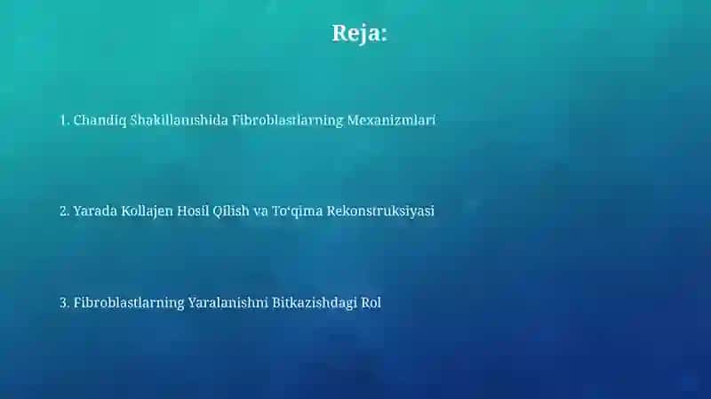 Chandiq Shakillanishida Fibroblastlarning Mexanizmlari 2