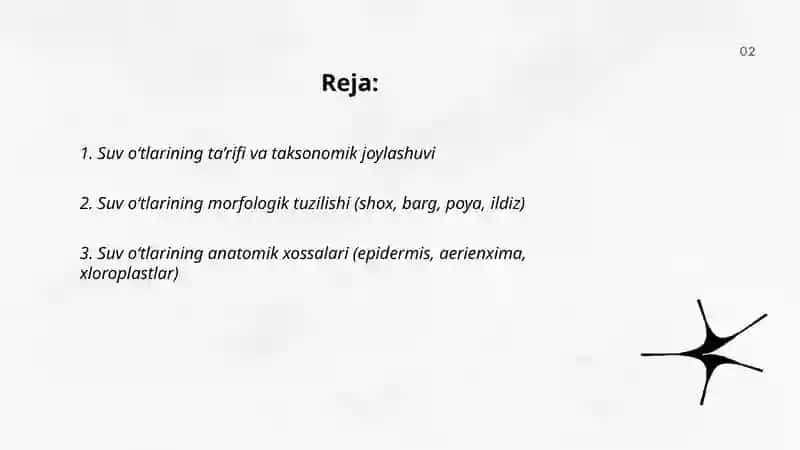 Suvo'tlari: tuzilishi, sistimatikasi va ahamiyati 2