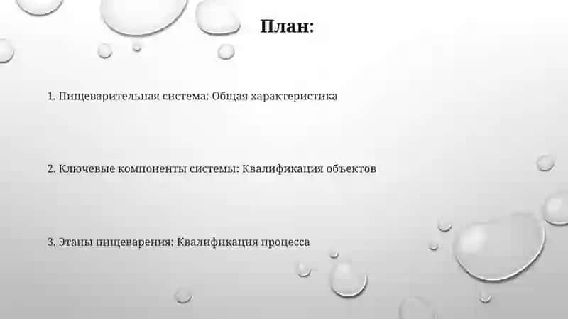 Система пищеварения 2