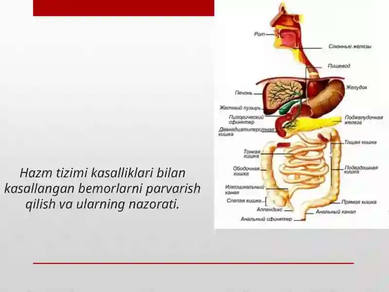 NamDUTibbiyotfakulteti Klinikfanlari kafedrasi Tibbiyot kasbi ga kirish 2
