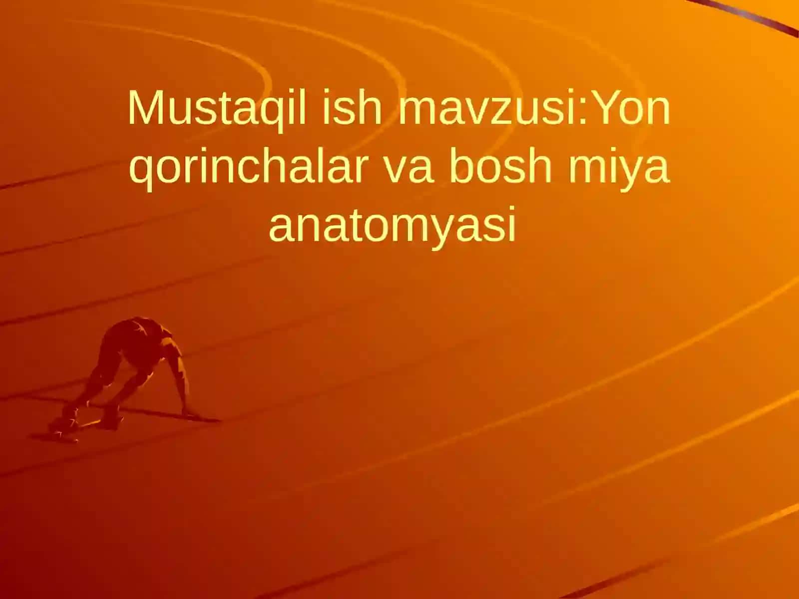 Mustaqilish mavzusi: Yonqorinchalar va boshmiya anatomiya 2