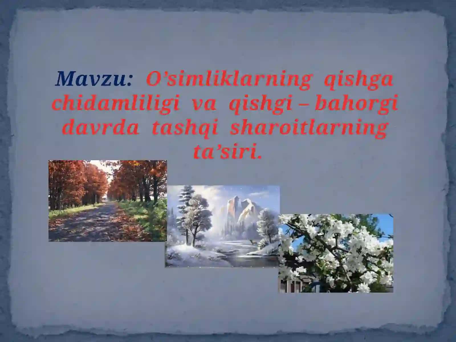 O’simliklarning qishgachidamliligi va qishgi-bahor gidaligidar ta’siri 2