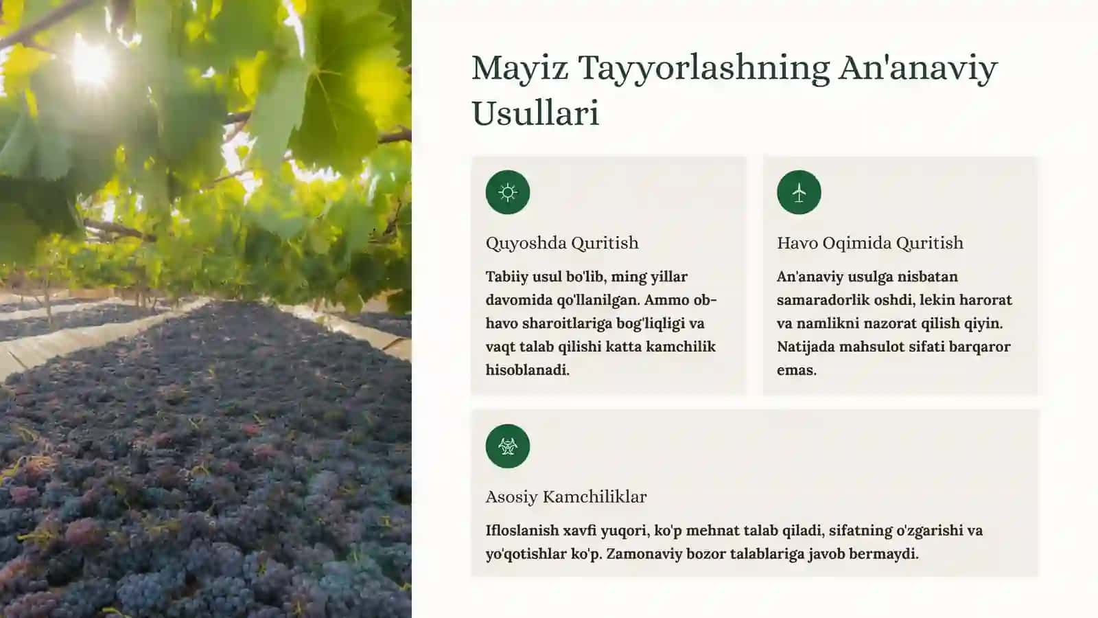 Soyaki Mayiz Tayyorlash Texnologiyasi 2