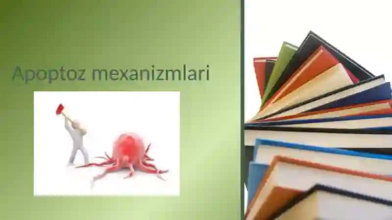 Apoptoz mexanizmlari 2