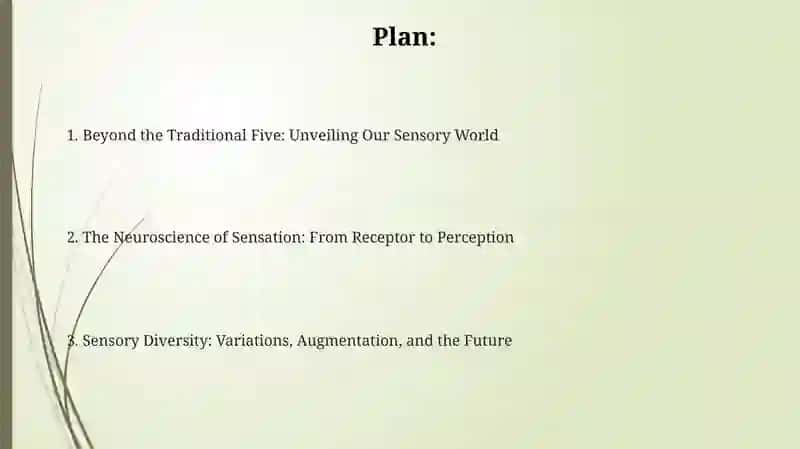 Beyond the Traditional Five: Unveiling Our Sensory World 2