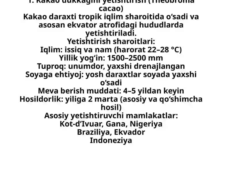 Kakao dukkagini yetishtirish (Theobroma cacao) 2