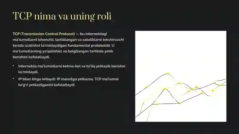 TCP Protokoli Paket Sarlavhasi va Maydonlarini Batafsil Tahlil Qilish 2