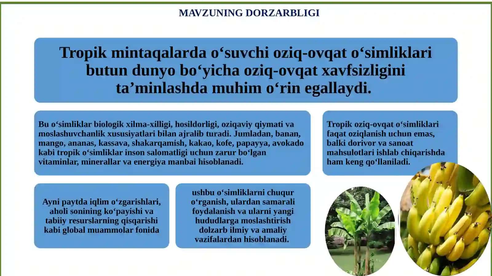 TROPIKLARDA TARQALGAN OZIQ OVQAT O’SIMLIKLARI 2