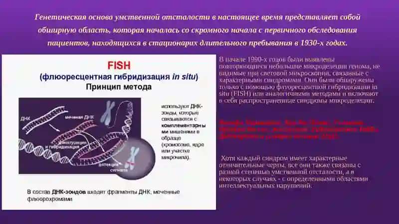 Генетические заболевания с умственной осталостью 2
