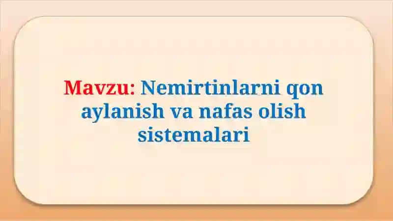 Nemirtinlarni qonaylanish va nafas olish sistemalari 2