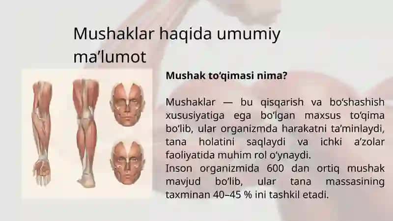 ODAM ANATOMIYASI. Muskullar sistemasi (Ko'krak, qorin va orqa mushaklari) 2