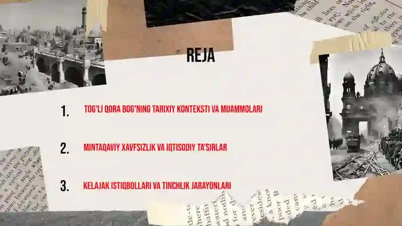 Tog'li qora bog' masalasi 2