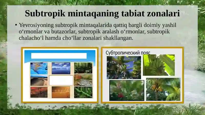 Subtropik Mintaqalaridagi Tabiatzonalari 2