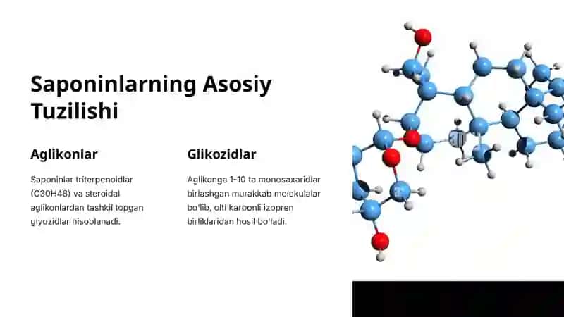 Saponinlar Bo'lgan Dorivor O'simliklar 2