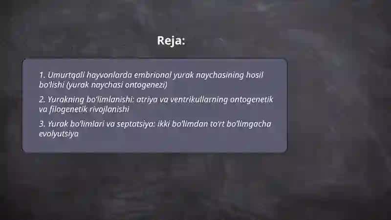 Umurtqali hayvonlarda yurak qon tomirlar onto-filogenezi 2