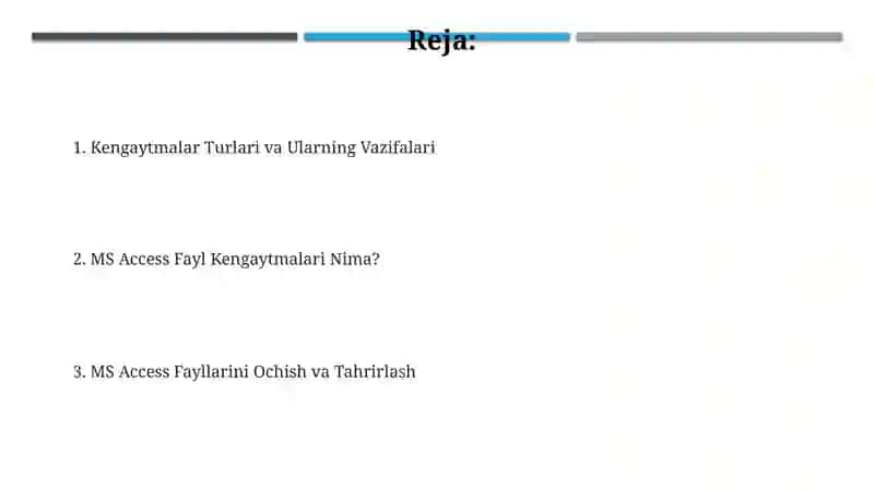 Microsoft Access Fayl Kengaytmalari 2