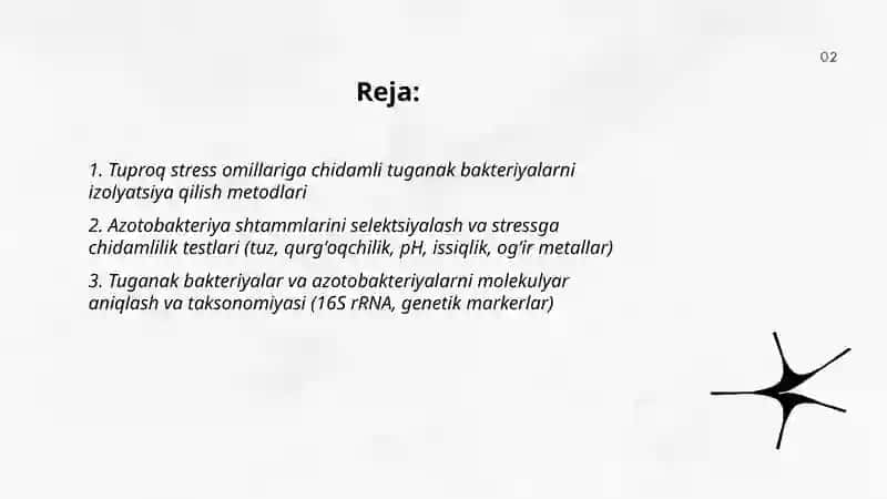Tuproq stress omillariga chidamli tuganak bakteriyalar va azotobakteriyashtammlaridan biopreparatlar tayyorlash texnologiyasi 2