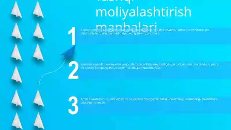 Инноватсион Фаолиятни Молиялаштириш Манбалари 2