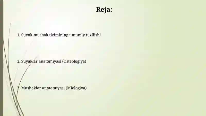 Tayanch-harakat apparati.Osteologiya va miologiya haqida ta'limot 2