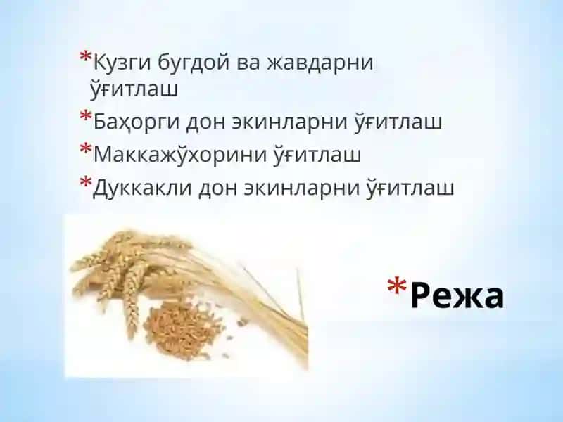 Донли экинларни ўғитлаш 2