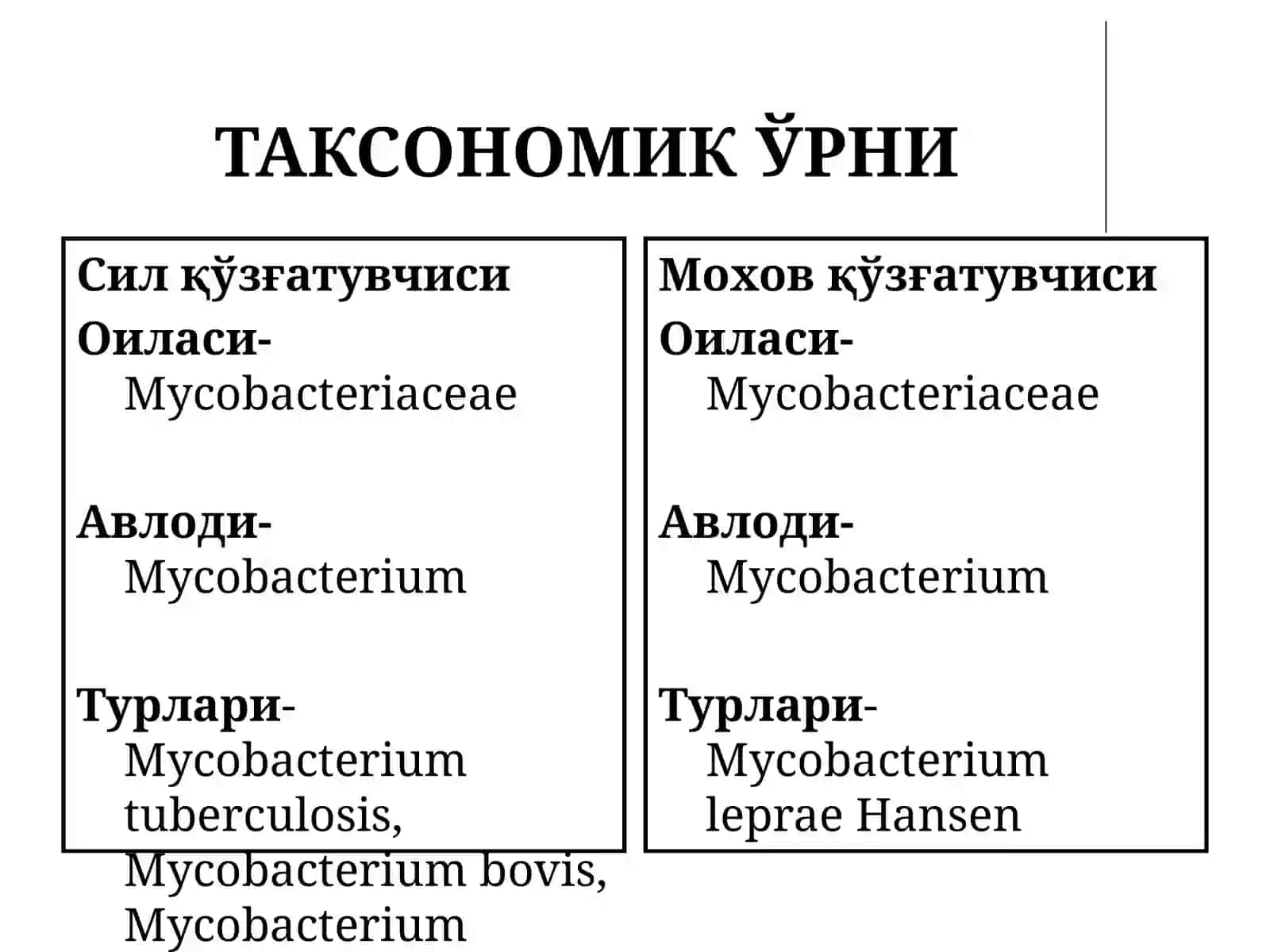 МИКОБАКТЕРИЯЛАР: СИЛ ВА МОХОВ 2