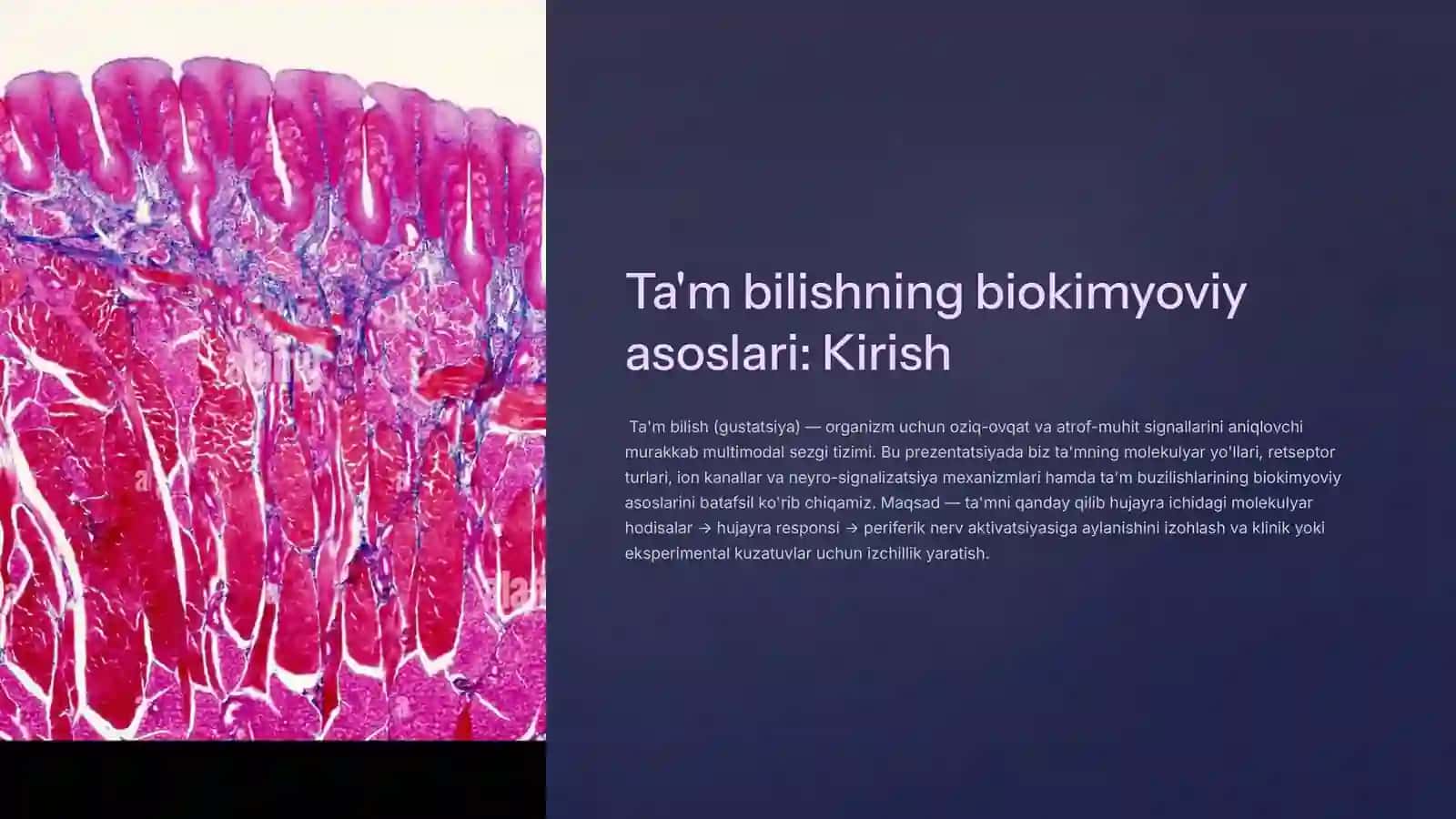 Ta'm bilishning biokimyoviy asoslari 2