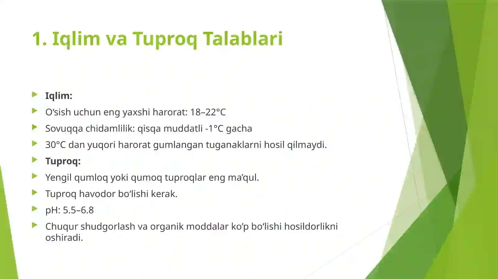 Kartoshka yetishtirish texnologiyasi 2