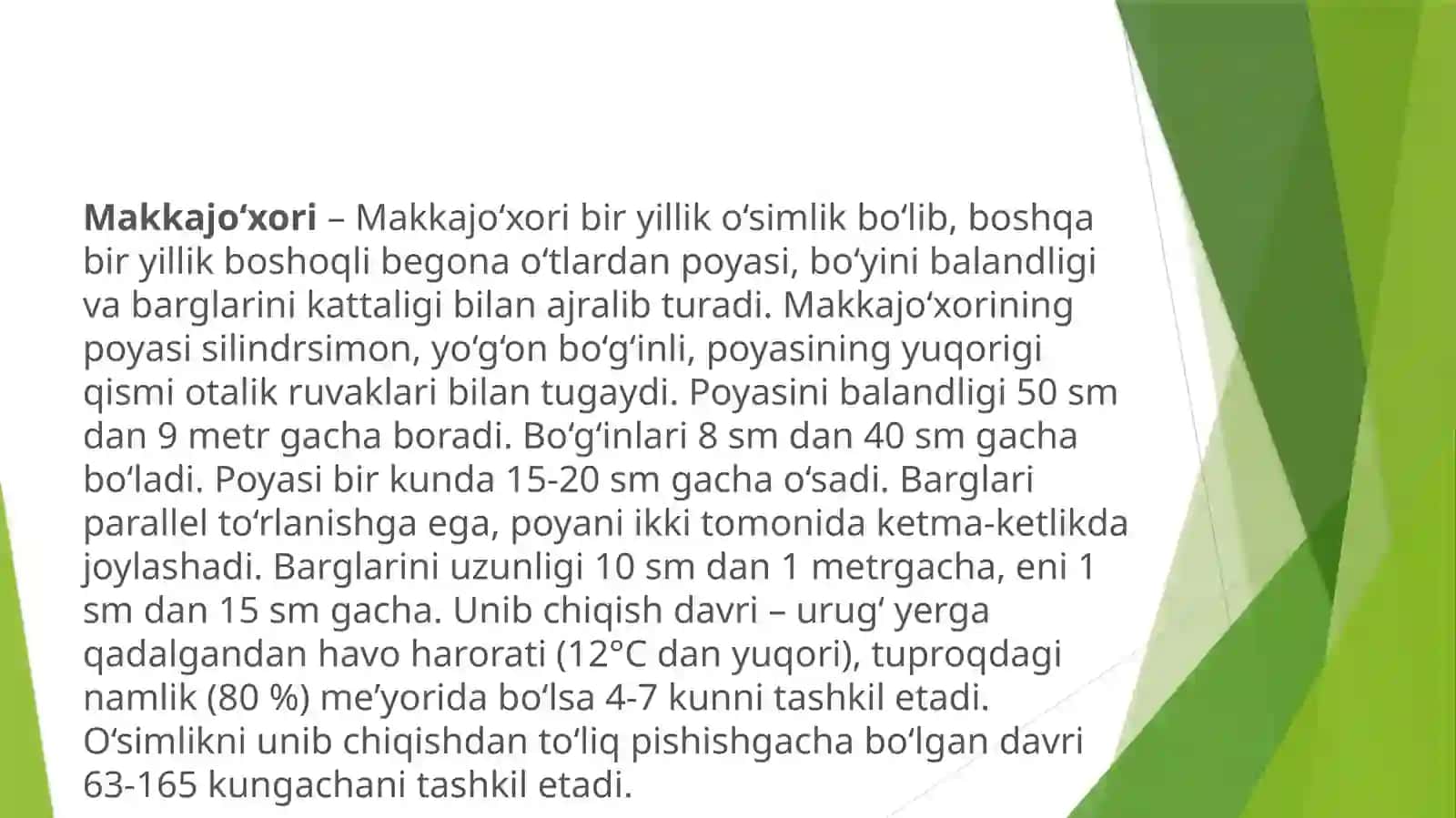 Makkajo’xori–sug’oriladigansharoitdadonuchunyetishtirish 2