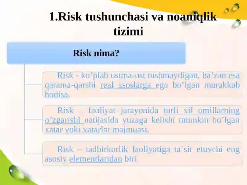 Riskvadaromadningo’zarobog’liqligi 2