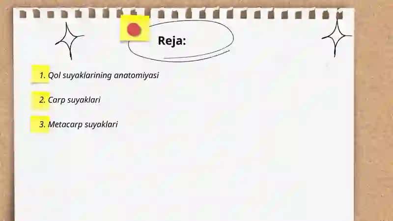 Qol suyaklari 2